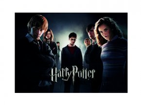 Puzzle Harry Potter zářící ve tmě - Fénixův řád