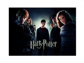 Puzzle Harry Potter zářící ve tmě - Fénixův řád