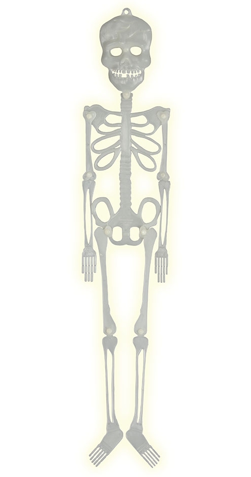 Fluoreskující kostra 75 cm